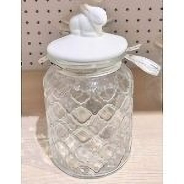 1000ml storage jar